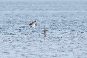 20130929D4_42-02