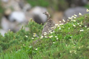 20160721V1_DSC_8004