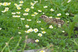 20160721V1_DSC_8371