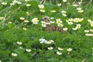 20160721V1_DSC_8384