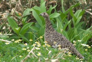 20160721V1_DSC_8399