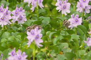 20160919d4_dsc_2645