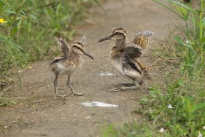 20160919d4_dsc_3449