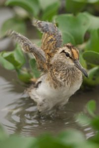 20160923d4_dsc_2552